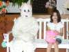 dscn6997_small.jpg