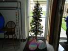 dscn8083_small.jpg